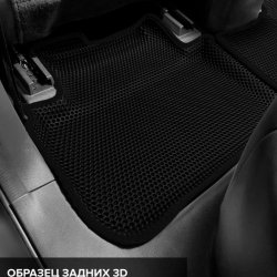 Левый пассажир