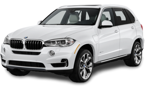 2D коврики EVA в салон и багажник на BMW X5 F15 (2013-2018)