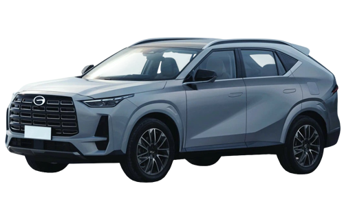 2D коврики EVA в салон и багажник на GAC GS4 (2024-н.в.)